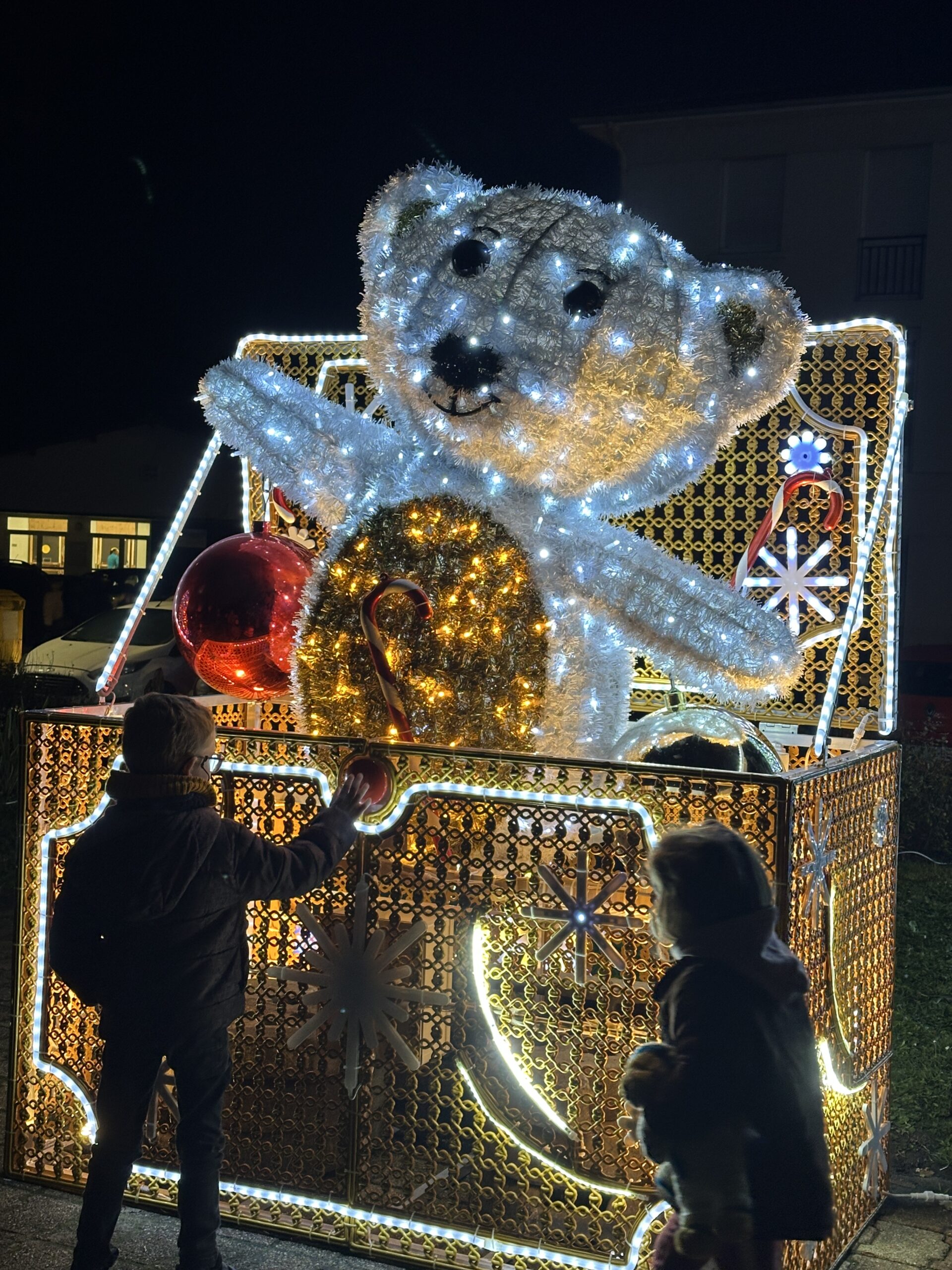 IMG_1607